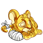 Gold Kougra