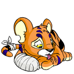 Orange Kougra