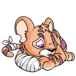 Orange Kougra