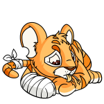 Orange Kougra