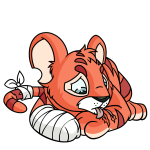 Orange Kougra