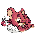 Pink Kougra