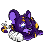Purple Kougra
