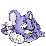 Purple Kougra