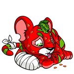 Strawberry Kougra