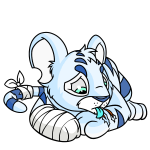 White Kougra