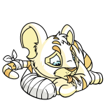 White Kougra