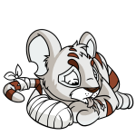 White Kougra