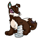 Brown Lupe