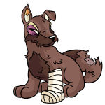 Brown Lupe