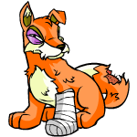 Orange Lupe