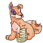 Orange Lupe