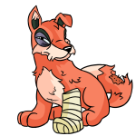 Orange Lupe