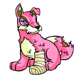 Pink Lupe
