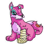 Pink Lupe