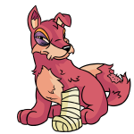 Pink Lupe