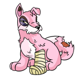 Pink Lupe