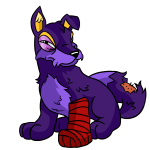 Purple Lupe