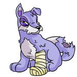 Purple Lupe