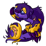 Purple Lutari