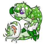 Speckled Lutari