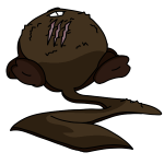 Brown Meerca
