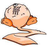 Orange Meerca
