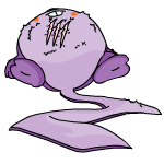 Purple Meerca