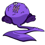 Purple Meerca