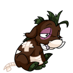 Brown Moehog