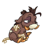 Brown Moehog