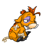 Orange Moehog