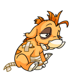 Orange Moehog