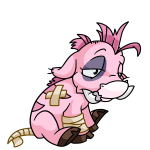 Pink Moehog