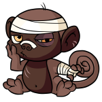Brown Mynci
