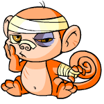 Orange Mynci