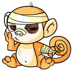 Orange Mynci