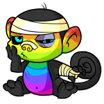 Rainbow Mynci