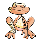 Orange Nimmo