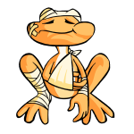 Orange Nimmo