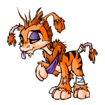 Orange Ogrin