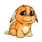 Orange Poogle