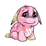 Pink Poogle