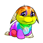 Rainbow Poogle