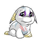 White Poogle