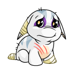 White Poogle