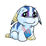 White Poogle