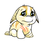White Poogle