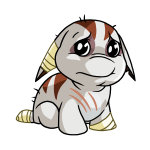 White Poogle