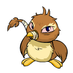 Brown Pteri